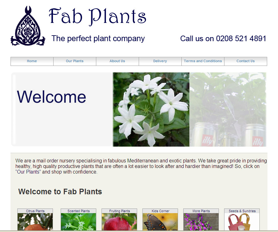 Fab Plants